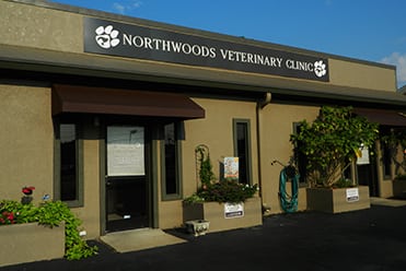Our Story of Veterinary Care: External View of Practice