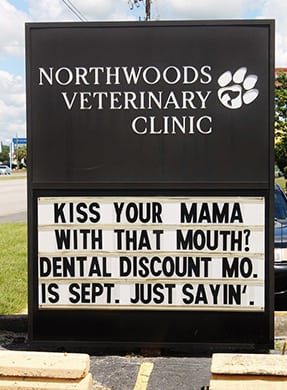 Pet Dentistry in North Charleston