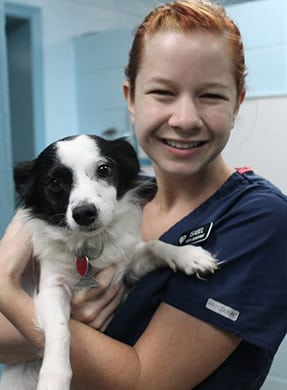 Our Story of Veterinary Care: Veterinarian Carrying Dog