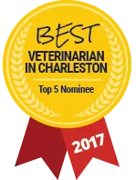 Best Veterinarian in Charleston: Top 5 Nominee 2017