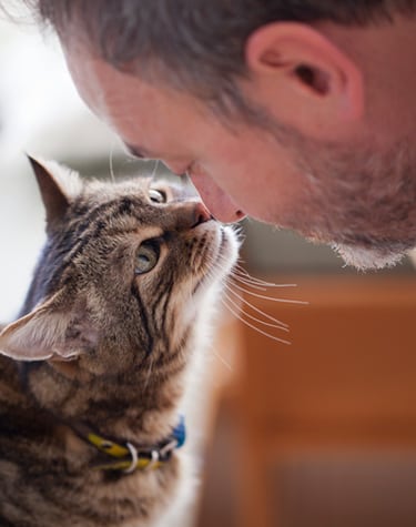 Senior Veterinary Care in North Charleston: Cat with owner