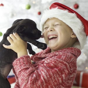 Holiday Pet Safety in North Charleston: A Boy Wearing a Santa Hat Getting Kissed by a Black Puppy