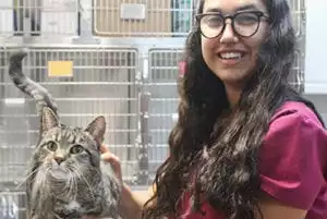 Veterinary Careers in North Charleston: Morgen with cat